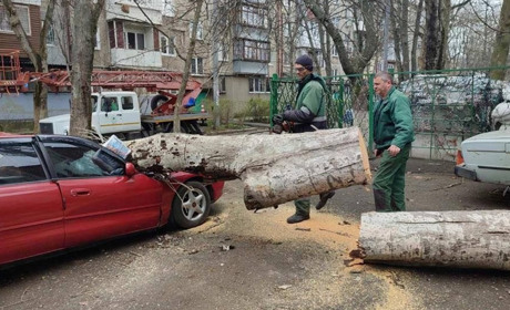 Одеські лікарі розповіли про стан пацієнтів, які постраждали внаслідок деревопаду