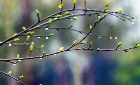 Погода на Кагарличчині та Ржищівщині на вихідні 1 і 2 квітня