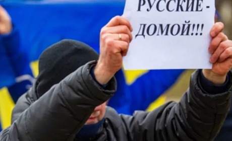 Сальдо готує місце для втечі