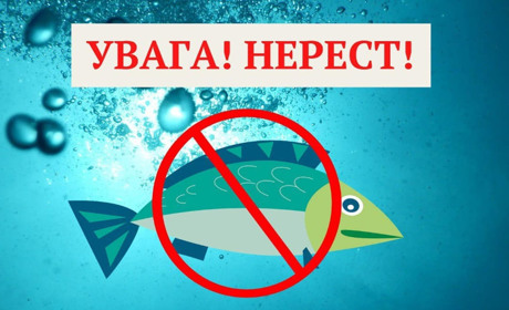 З 1 квітня на Вінниччині заборонено ловити рибу, але є винятки