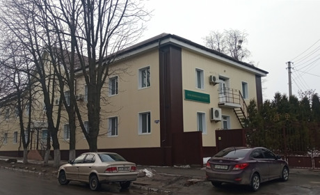 Одружилися – поділіться радістю з Пенсійним фондом: поради золотонісцям