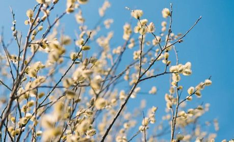 Погода у Старокостянтинові на 3-9 квітня: волого та прохолодно