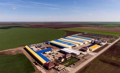 На окупованій Херсонщині росіяни забрали все майно Ігоря Колихаєва