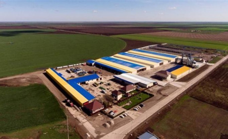 Росіяни забрали все майно мера Херсона Ігоря Колихаєва, якого вони утримують 10 місяців у полоні