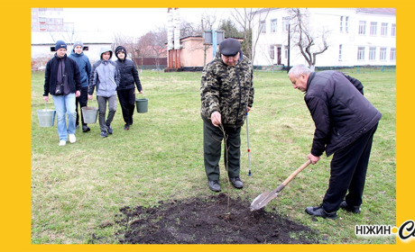 У парку Прокоповича висаджено нові саджанці
