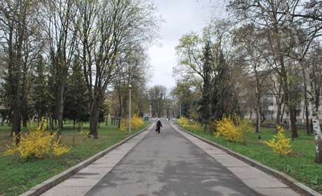 300 тисяч гривень недоотримав місцевий постачальник послуг