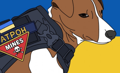 Які міни зустрічаються на окупованій Херсонщині