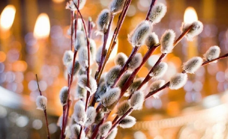 Вербна неділя 2023: які молитви потрібно обов'язково прочитати у День Входу Господнього у Єрусалим