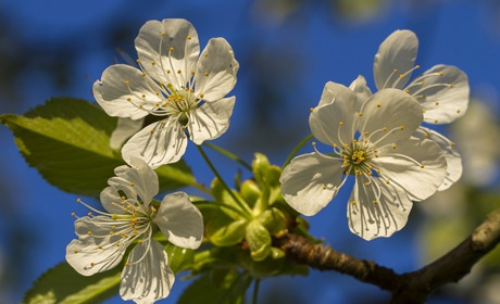 Погода у Старокостянтинові на 10-16 квітня: яким буде Великодній тиждень