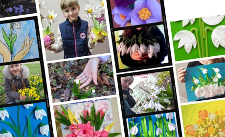 Як пройшов конкурс «Збережи первоцвіт» у Нікопольському екоцентрі