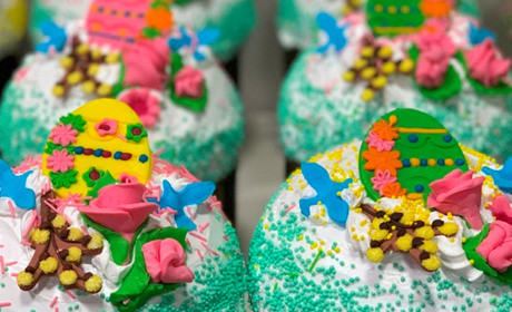 Купити паску у Гадячі: огляд цін від Гадяч.City