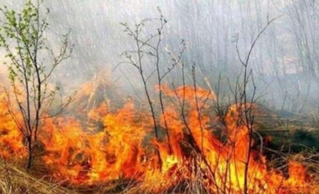 Южненців закликають не палити суху траву: карається законом