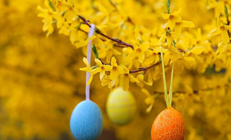 Погода на 17 - 23 квітня: яким буде тиждень після Великодня