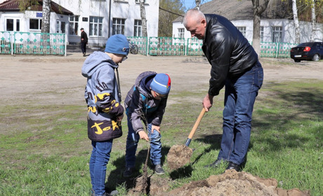 Учні взяли участь в еко-акції та висадили «Шевченківські дуби» біля школи №3 у Тростянці