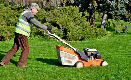 У Нікополі затвердили Програму фінансової підтримки «Паркового господарства» в новій редакції