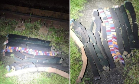 Митники Закарпаття виявили 120 пачок сигарет, що нелегально перевозились у ЄС