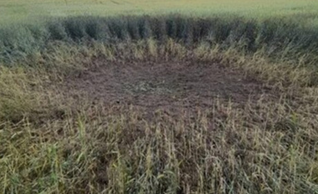 Сумщину та Чернігівщину вранці обстріляли окупанти