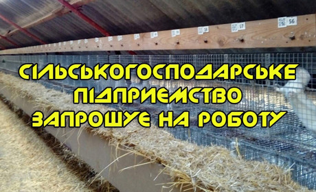 Сільськогосподарському підприємству на Переяславщині потрібні різноробочі
