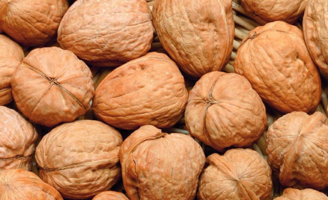 В Одеську область могли потрапити токсичні горіхи