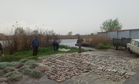 На Херсонщині затримали двох браконьєрів з виловом на 1,8 млн грн