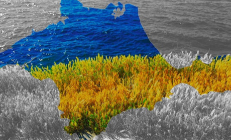 Щоденник війни. Тиждень п'ятдесят четвертий. Ласкаво просимо в реальність