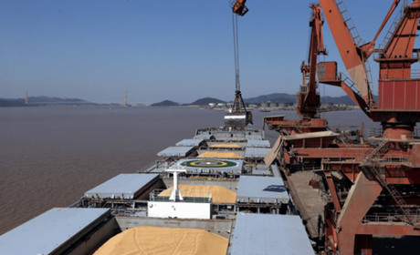 Загарбники вантажать крадений врожай у Бердянському порту та будують нові злочинні плани