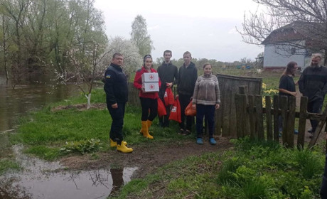 В цій місцевості внаслідок значного розливу річки Десна постраждало 32 господарства