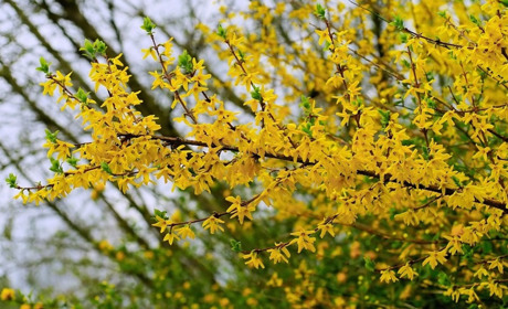 Погода у Старокостянтинові на 24-30 квітня: тепло, але дощитиме