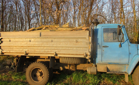 Біля Шкуратівки поліцейські виявили незаконний поруб дерев