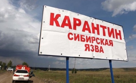 В Мелітополі російські загарбники потрапили до лікарні зі смертельним вірусом