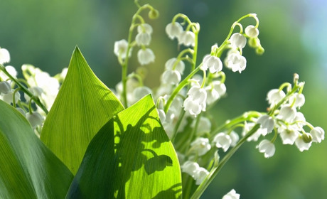 Зміни у травні: про тарифи, субсидію та чи будуть виплати військовим