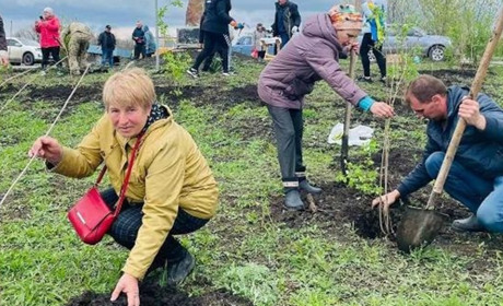 Добропільська громада долучилася до акції «1 мільйон дерев життя». Де висадили садженці