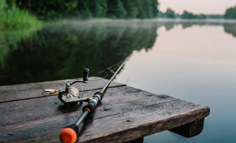 Не ловись, рибко: з 28 квітня на Одещині забороняється вилов дунайського оселедця. Де саме?