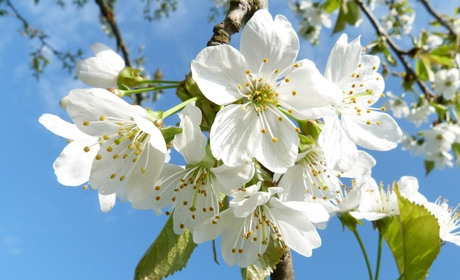 Погода у Старокостянтинові з 1 по 7 травня: яким буде початок місяця