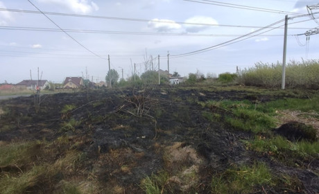 Горіли сміття й суха трава: у Сарненському районі ліквідовували пожежі