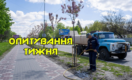 Опитування тижня: чи задоволені ви благоустроєм у своїй громаді? Розповідають жителі Переяславщини