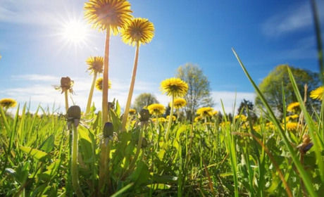 Погода на Кагарличчині та Ржищівщині на вихідні 6 і 7 травня