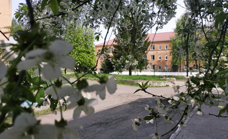 Весна у Гадячі. Фоторепортаж