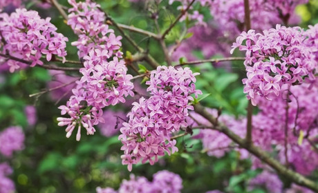 Погода на 8-14 травня: коли чекати на потепління