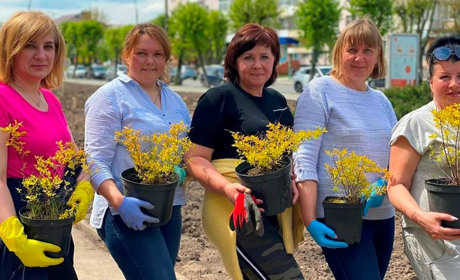 Алея пам’яті нескорених міст у Звягелі: деталі проєкту