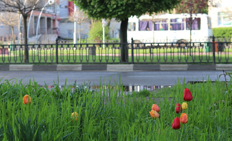 10 місяців російського терору: як живе і працює Нікополь