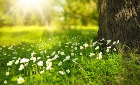 Погода на Кагарличчині та Ржищівщині на вихідні 13 і 14 травня