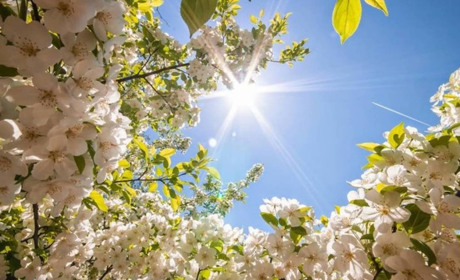 Погода в Кагарлику та Ржищеві на тиждень - з 15 по 21 травня