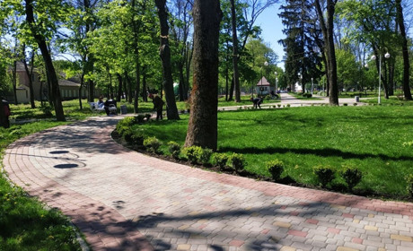 До +24°С. Якою буде погода протягом тижня у Гадячі