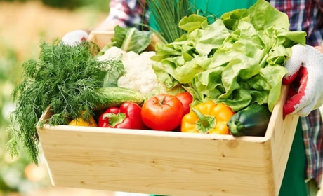 В Україні запустили сервіс для продажу сільгоспродукції