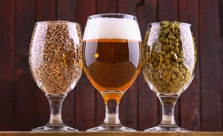 Шланги та фітинги для пивних кег: що потрібно знати