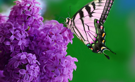 Погода на Кагарличчині та Ржищівщині на вихідні 20 і 21 травня