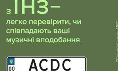 Індивідуальні номерні знаки: чи багато водіїв отримали їх на свої транспортні засоби?