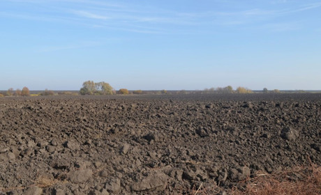 На Кременеччині судитимуть сільського голову та секретаря сільради за підроблені рішення