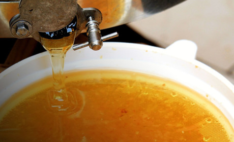 Какой тип медогонки выбрать?